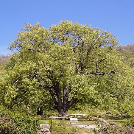 Casa Rural Romanejo Cabezabellosa Luaran gambar