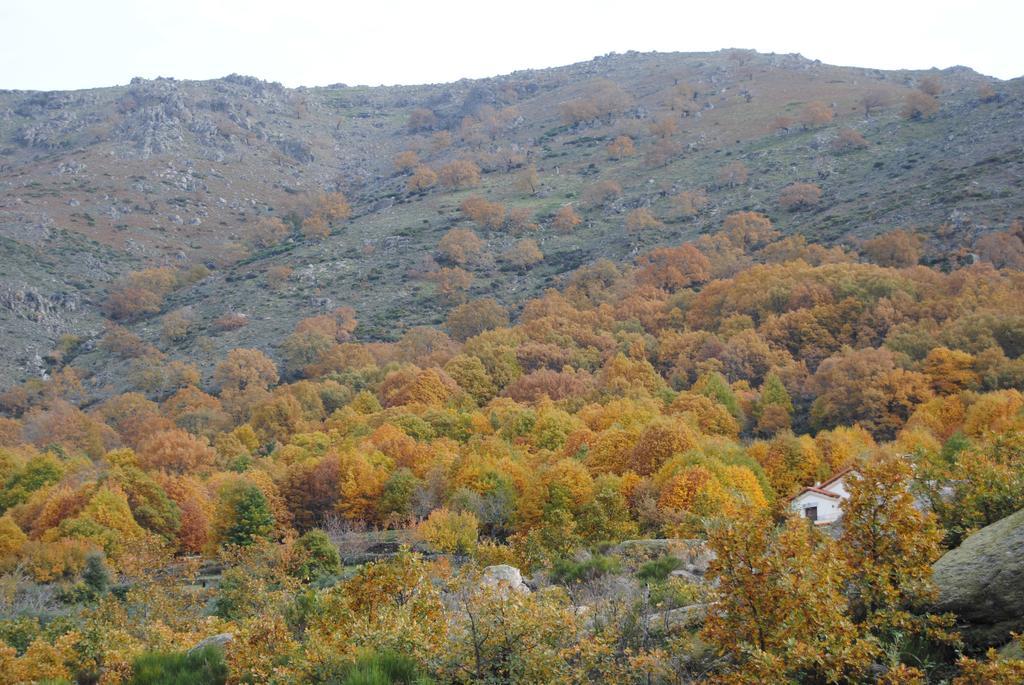 Casa Rural Romanejo Cabezabellosa Luaran gambar